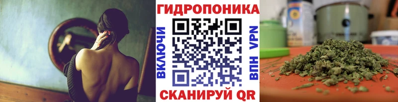 Купить наркоту Шенкурск Альфа ПВП  КОКАИН  ГАШИШ  Галлюциногенные грибы  Каннабис  Меф 