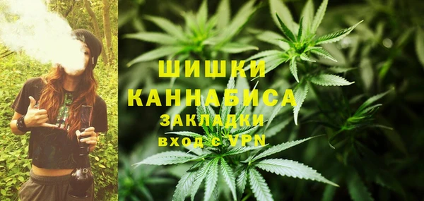 сатива Орехово-Зуево